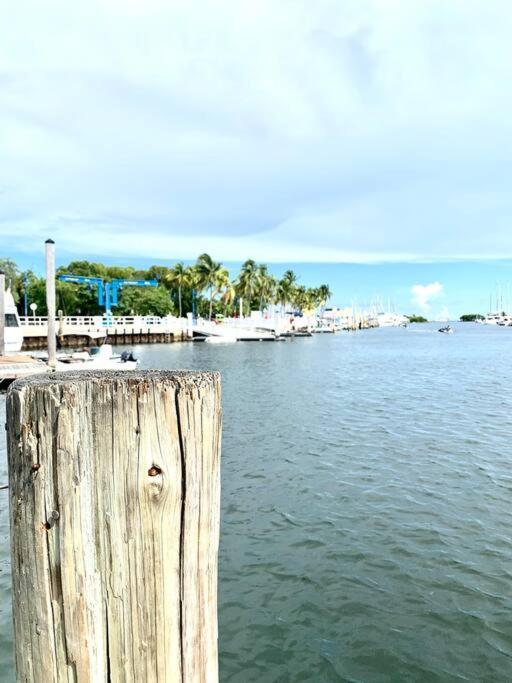 Groveo6 10 Minutes From The Beach Miami Extérieur photo