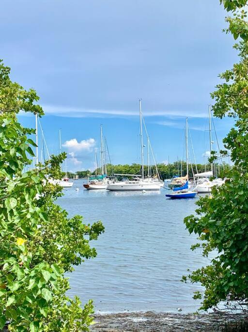 Groveo6 10 Minutes From The Beach Miami Extérieur photo